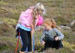 IMG_2036 (1280x853).jpg (105056 bytes)